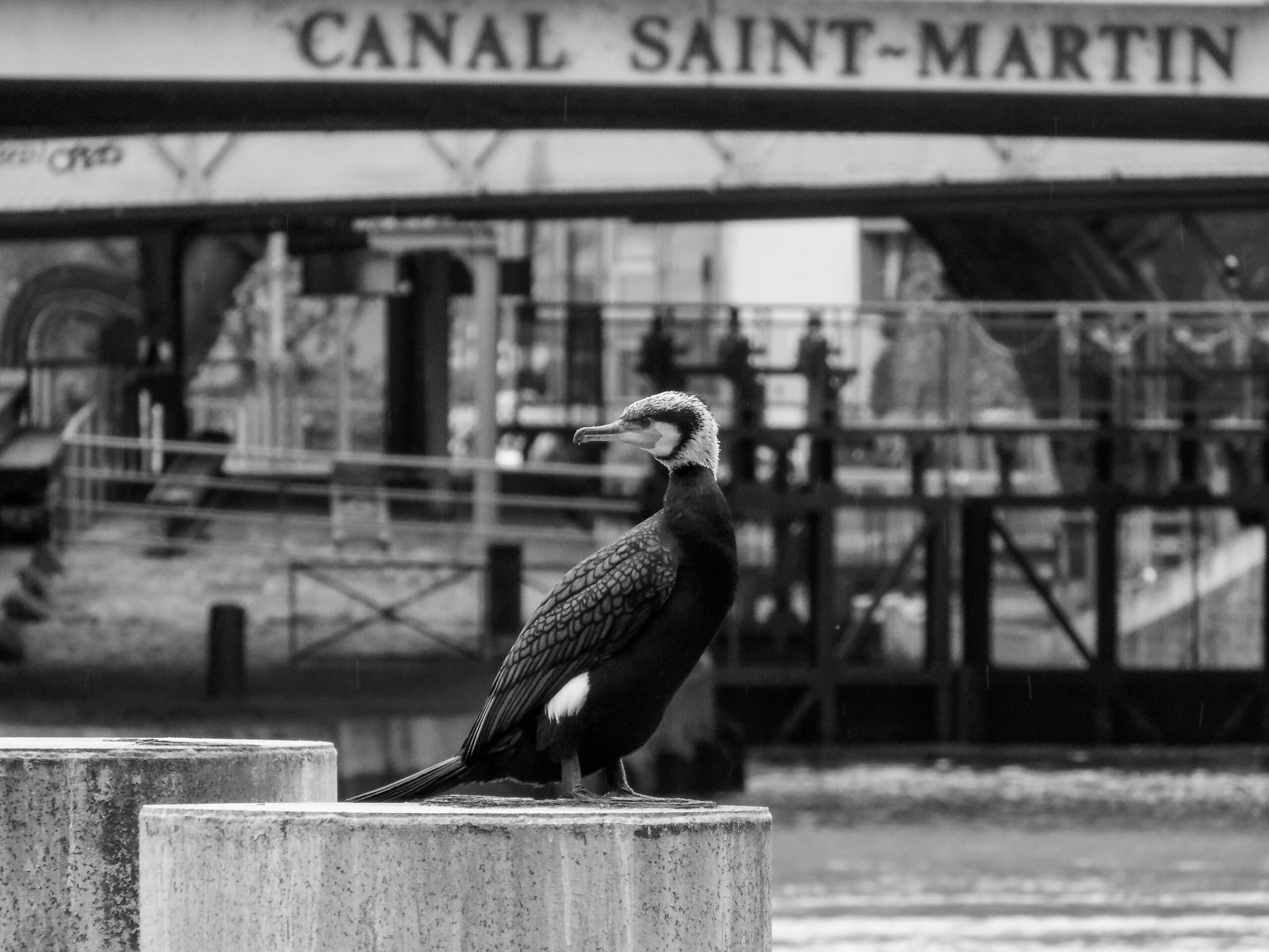 Pont du quartier du Canal Saint-Martin dans le 10e arrondissement de Paris, où Venor Immobilier Paris Canal Saint-Martin accompagne ses clients pour acheter, vendre et louer des biens immobiliers.