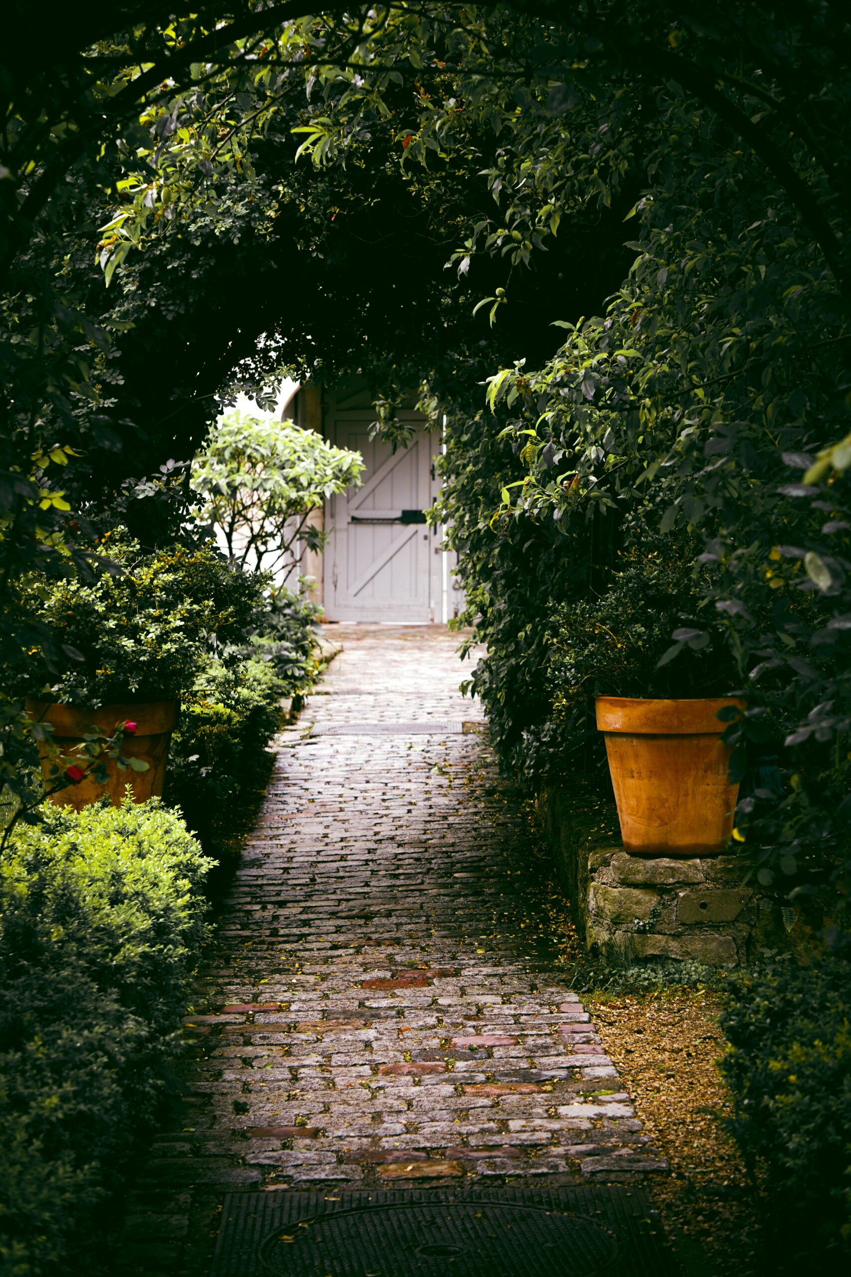 Chemin pavé entouré de verdure menant à une porte de jardin, illustrant un espace extérieur privé et calme.